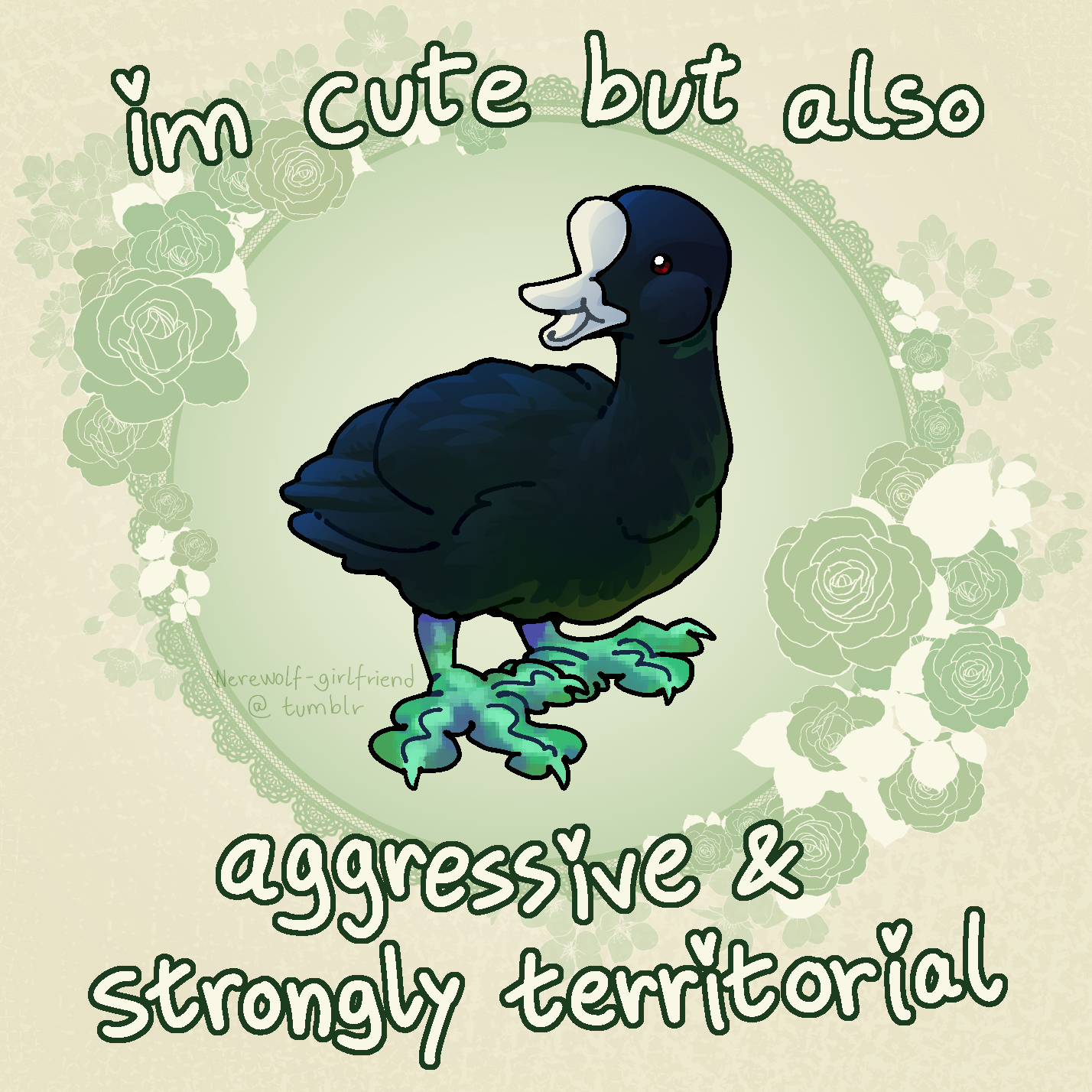 Digital drawing of a smiling Eurasian coot. There is text above and below it, reading: "im cute but also aggressive and strongly territorial". The i's are dotted with hearts.