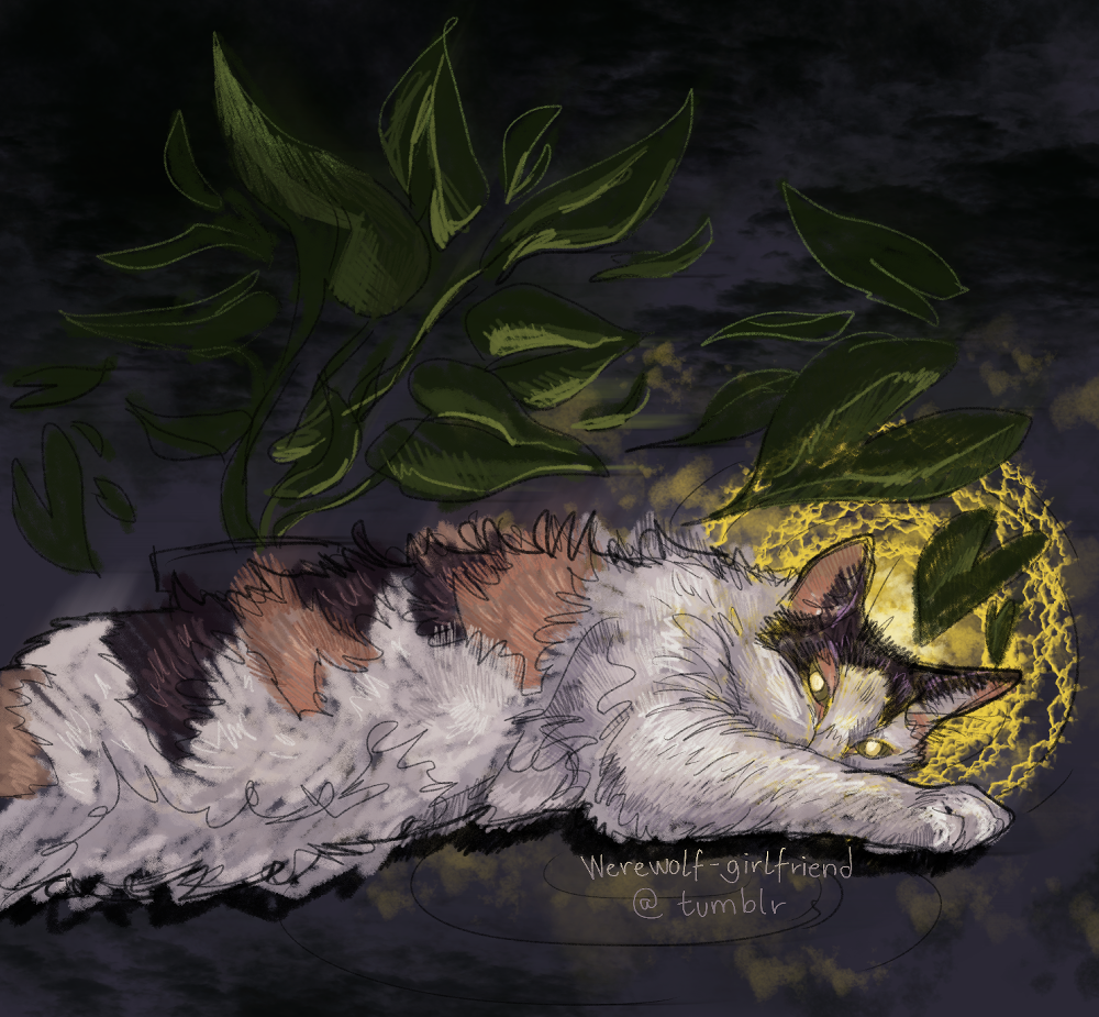 A fluffy calico cat laying flat on it's stomach on a dark cloudy background. Above the cat are big green leaves, and the cat looks back at the camera, from behind it's paw, with a shine in it's eyes. Behind the cat there is a halo of golden clouds.